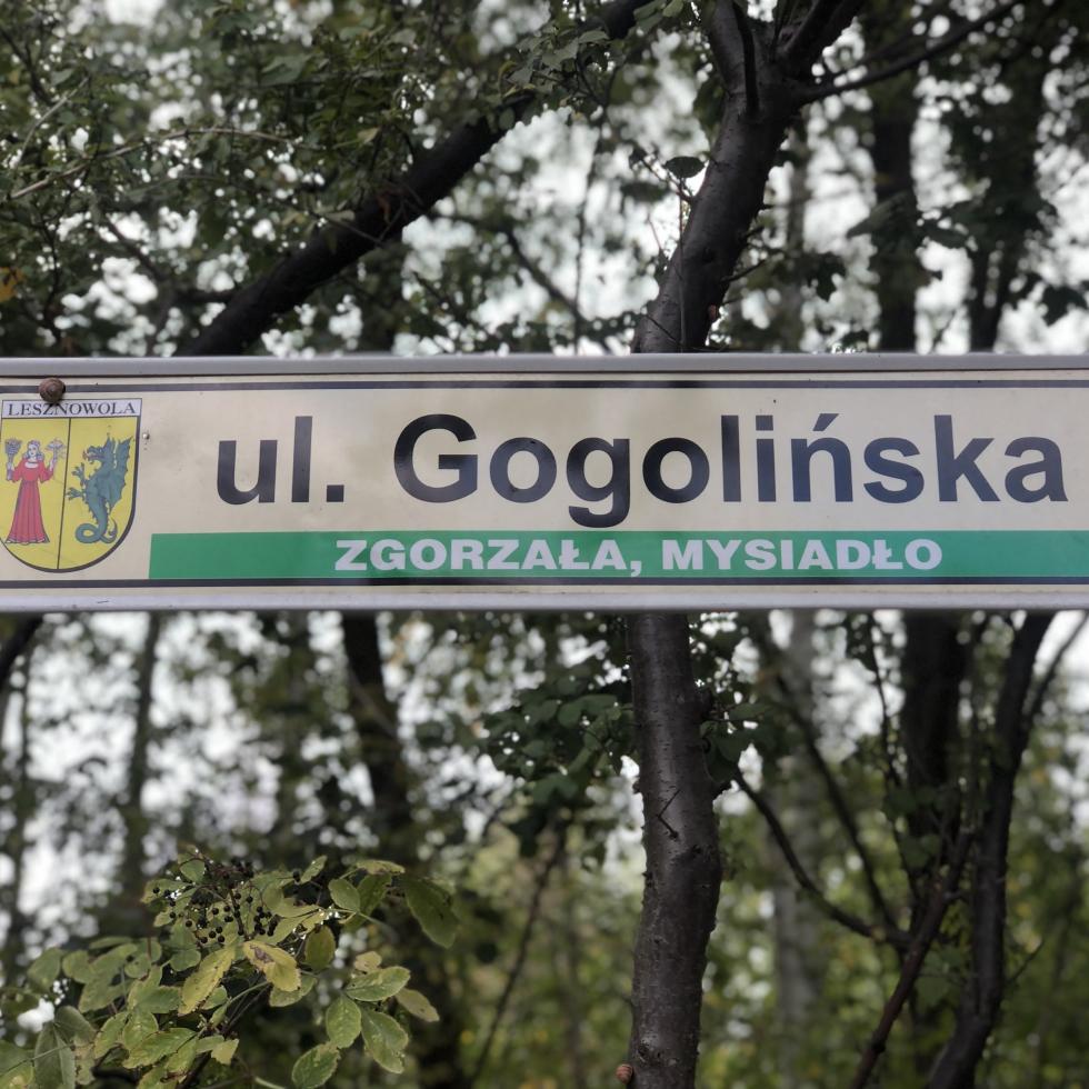 ul. Gogolińska